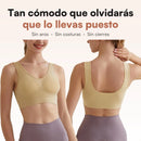 Sujetador Confort sin aros, sin costuras y sin cierres